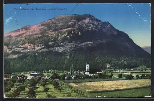 AK Teufenbach /Murtal, Blick auf den Ort