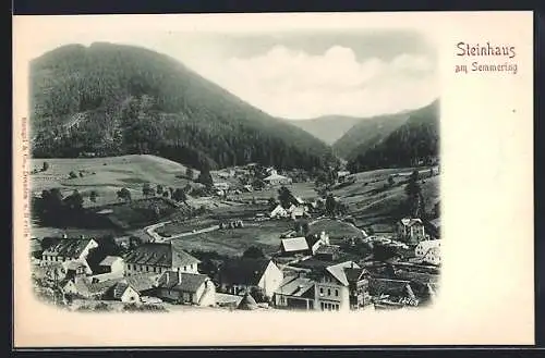 AK Steinhaus a. Semmering, Teilansicht