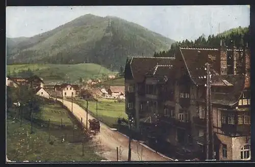 AK Steinhaus am Semmering, Strassenansicht mit Pferdewagen