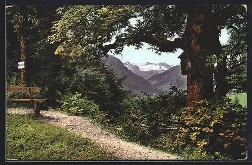 AK Bad Aussee-Obertressen, Blick zum Dachstein