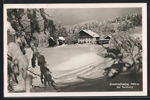 AK Elsbethen, Ehrentrudisalpe im Schnee