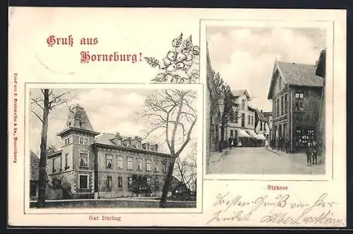 AK Horneburg, Gut Düring, Strassenpartie