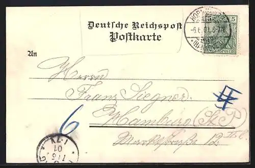 AK Horneburg, Gut Düring, Strassenpartie