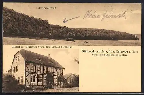 AK Düderode a. Harz, Gasthof zur Deutschen Krone, Calenberger Wald