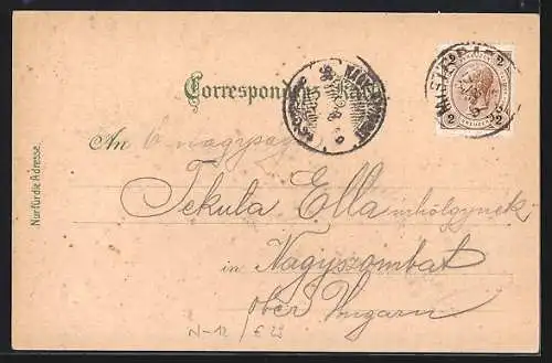 Lithographie Mistelbach /N.-Oe., Hauptplatz, Ortsansicht, Pfarrkirche