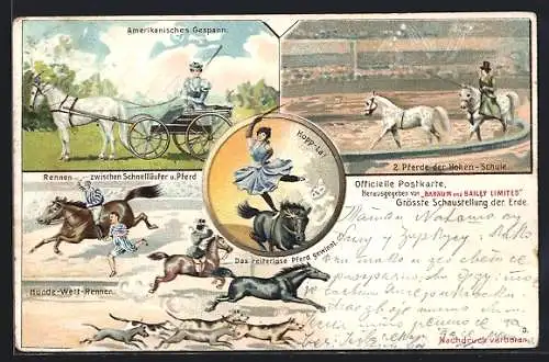 Lithographie Barnum and Bailey Limited, Zirkus, Pferdedressur und Hundewettrennen