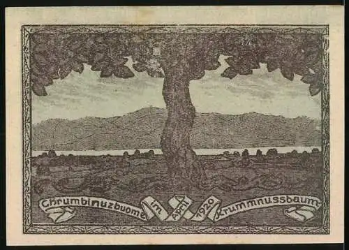 Notgeld Krummnussbaum 1920, 10 Heller, zwei Männer, Krummnussbaum und Landschaftsmotiv