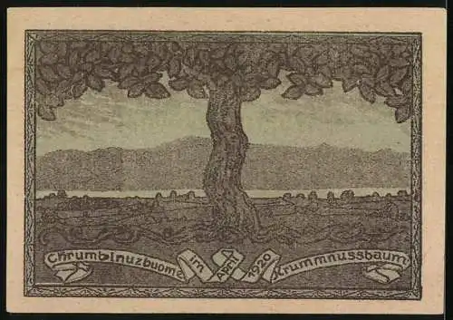 Notgeld Krummnussbaum 1920, 20 Heller, Stadtansicht und Baumlandschaft