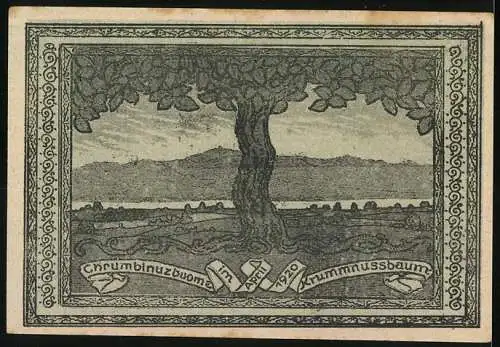 Notgeld Krummnussbaum 1920, 50 Heller, Reiter und Schlossansicht mit Baum und Landschaft im Hintergrund