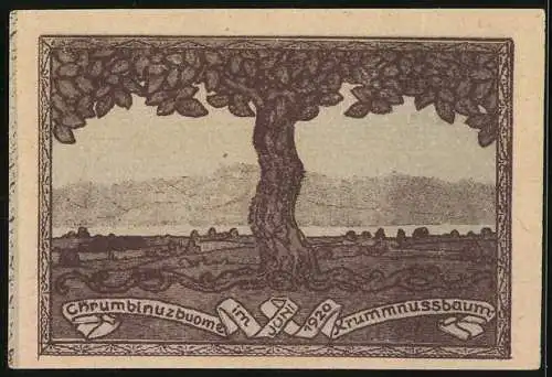 Notgeld Krummnussbaum 1920, 20 Heller, Stadtansicht und Baumlandschaft