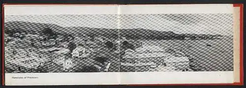 Leporello-Album 8 Lichtdruck-Ansichten Freetown, Panorama, the Dock, Landing Stage, Susans Bay, Post Office, Gouvernment