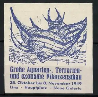 Reklamemarke Linz, Grosse Aquarien-, Terrarien- und exotische Pflanzenschau 1949, Fische und Pflanzen