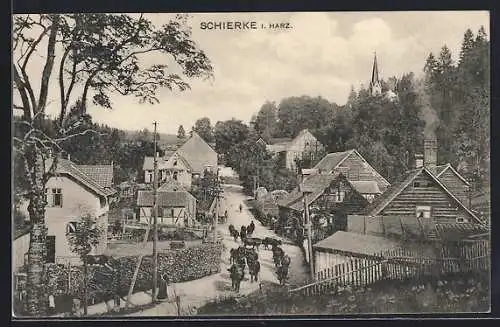 AK Schierke i. Harz, Strassenpartie mit Kühen