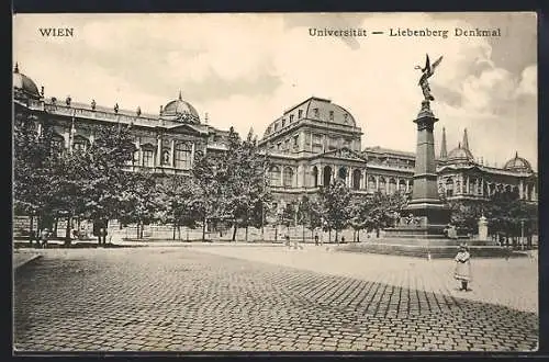 AK Wien, Universität mit Liebenberg-Denkmal, Ortspartie