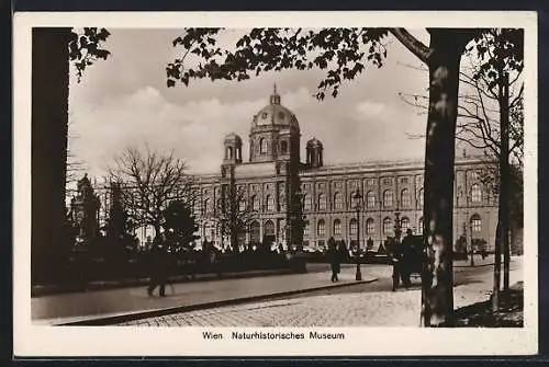 AK Wien, Naturhistorisches Hofmuseum mit Strasse