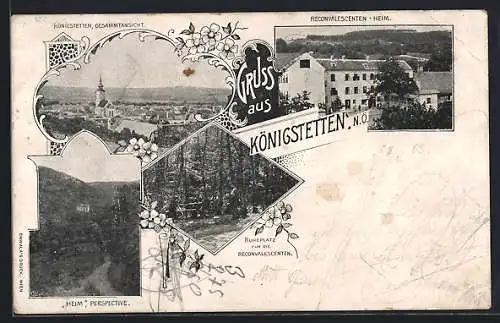 AK Königstetten /N.-Ö., Rekonvaleszentenheim mit Ruheplatz, Ortsansicht aus der Vogelschau