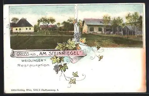 AK Klosterneuburg, Weidlinger's Restauration am Steinriegel, Gebäudeansicht, Weinverzierung