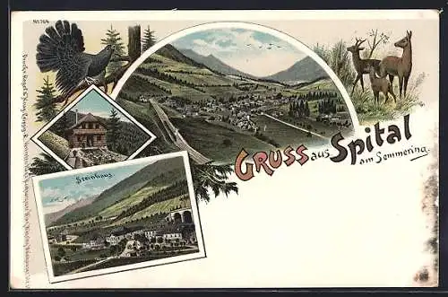 Lithographie Spital am Semmering, Teilansicht, Holzhaus, Steinhaus