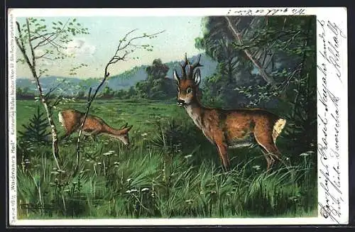 Künstler-AK E. Döcker: Rehe auf Futtersuche