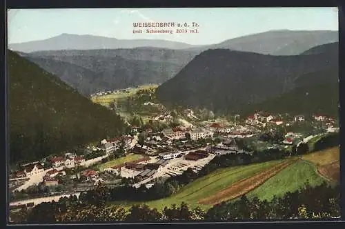 AK Weissenbach a. d. Tr., Teilansicht mit Schneeberg