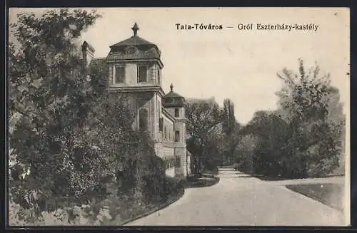 AK Tata-Tóváros, Gróf Estrerházy-kastély