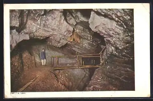 AK Lurhöhle, Vorhang in der Paul Paillergrotte