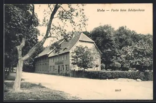 AK Wiehe / Halle, Strassenpartie am Schützenhaus