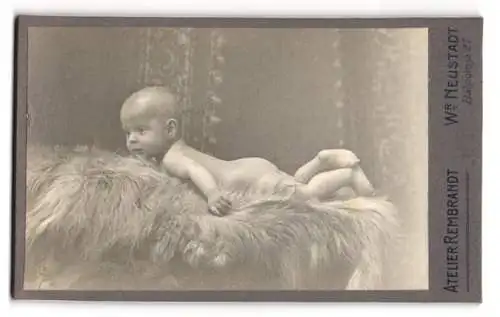 Fotografie Atelier Rembrandt, Wr. Neustadt, Bahngasse 27, Baby auf Fell liegend