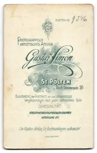 Fotografie Gustav Simon, St. Pölten, Park Promenade 20, Elegante Dame im langen Kleid