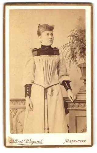 Fotografie Albert Wigand, Nordhausen, Morgenröthe 13, Porträt einer Dame in elegantem Kleid