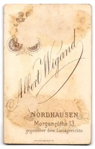 Fotografie Albert Wigand, Nordhausen, Morgenröthe 13, Porträt einer Dame in elegantem Kleid