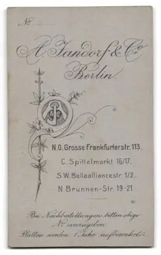 Fotografie A. Jandorf & Co., Berlin, Grosse Frankfurterstr. 113, Porträt einer Dame