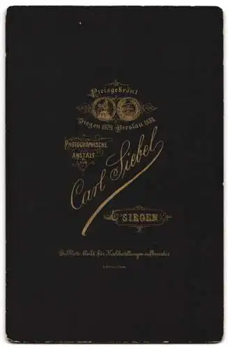 Fotografie Carl Siebel, Siegen, Elegante Dame in hochgeschlossenem Kleid und Hut