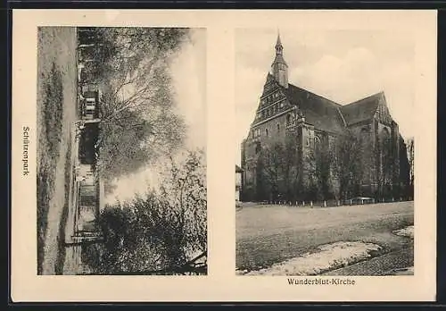 AK Bad Wilsnack, Schützenpark und Wunderblut-Kirche