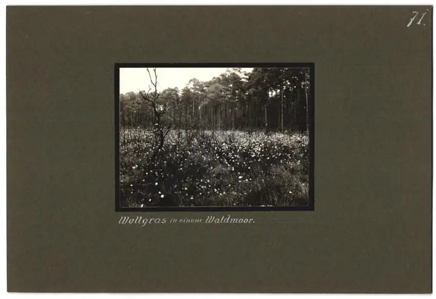 Fotoalbum mit 79 Fotografien Ansicht Hamburg-Uhlenhorst, Schullandheim Uhlenhorst, Bau des Hauses, Einweihung, Mädchen 21