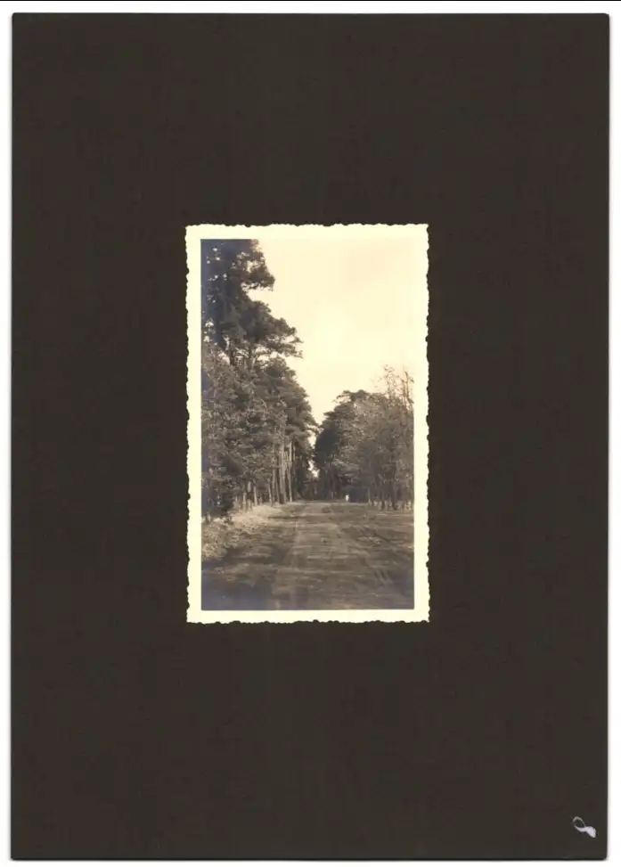 Fotoalbum mit 79 Fotografien Ansicht Hamburg-Uhlenhorst, Schullandheim Uhlenhorst, Bau des Hauses, Einweihung, Mädchen 23