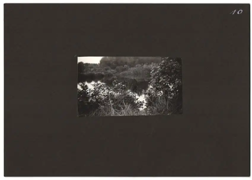 Fotoalbum mit 79 Fotografien Ansicht Hamburg-Uhlenhorst, Schullandheim Uhlenhorst, Bau des Hauses, Einweihung, Mädchen 26