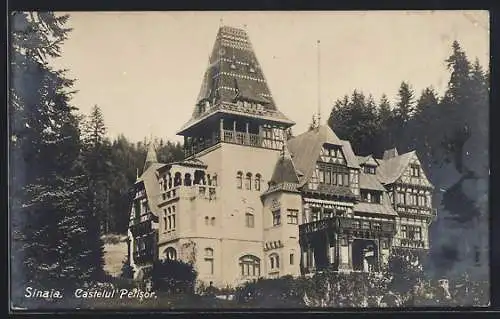 AK Sinaia, Castelul Pelisor