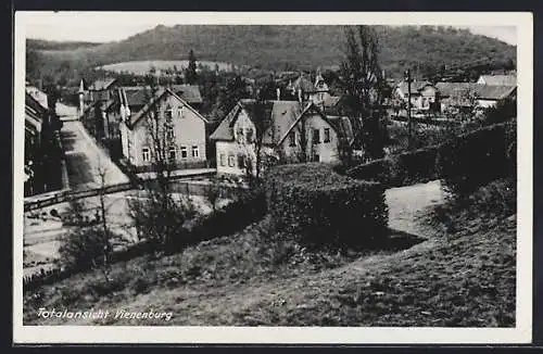 AK Vienenburg, Totalansicht vom Hügel aus