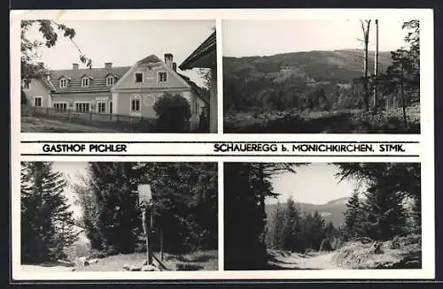 AK Schaueregg, Gasthof Pichler, Landschaftsansichten