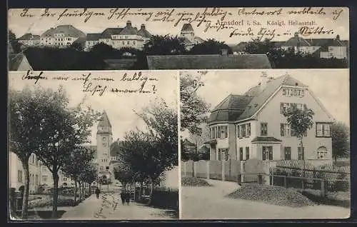 AK Arnsdorf / Sachsen, Königl. Heilanstalt, Kirche, Ortsansicht