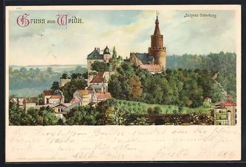 Lithographie Weida / Thür., Schloss Osterburg