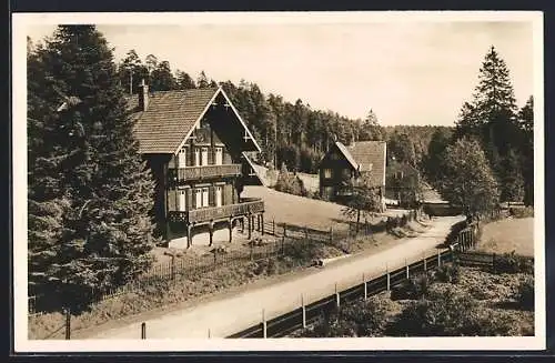 AK Kaltenbronn-Hohloh, Strassenpartie am Gasthof im Sonnenlicht