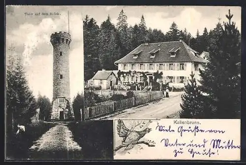 AK Kaltenbronn, Turm auf dem Holoh., Gasthof