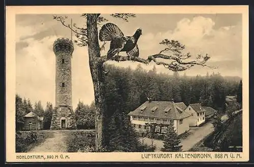 AK Kaltenbronn, Hohlohturm, Ortspartie, Auerhahn auf einem Ast