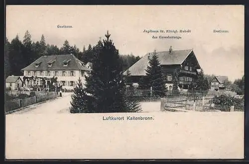 AK Kaltenbronn, Teilansicht mit Gasthaus, Jagdhaus und Rasthaus