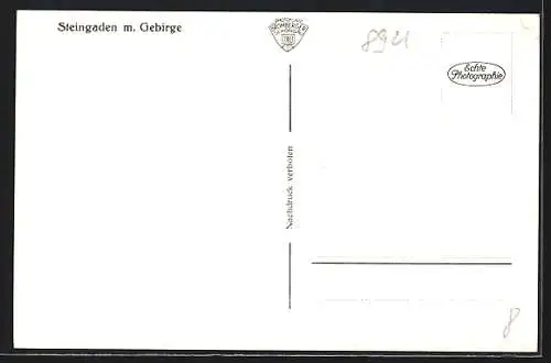 AK Steingaden / Obb., Ortspanorama mit Gebirge