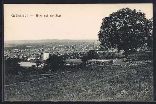 AK Grünstadt / Pfalz, Ortsansicht