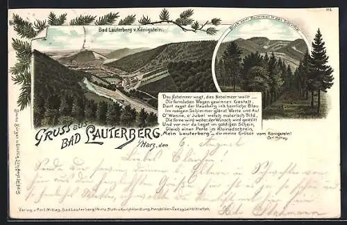Lithographie Bad Lauterberg i. Harz, Teilansicht vom Königstein, Blick vom Kummel in das Oderthal