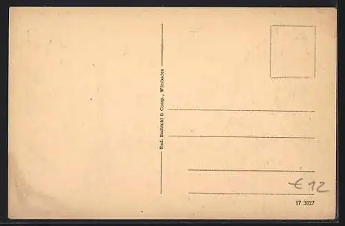 Lithographie Schierstein, Blick auf den Ort, Dampfer, Restaurant und Gartenwirtschaft von Albert Ermert